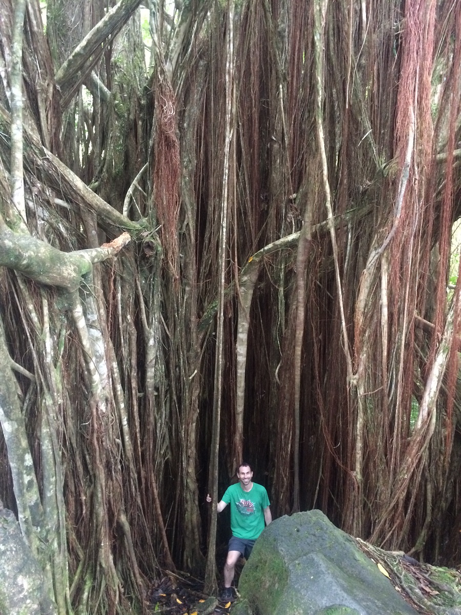 Matt with Huge Tree